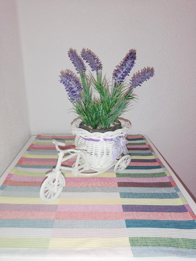 Apartment Pecarevic - A Holiday With A Stunning View Vis Zewnętrze zdjęcie