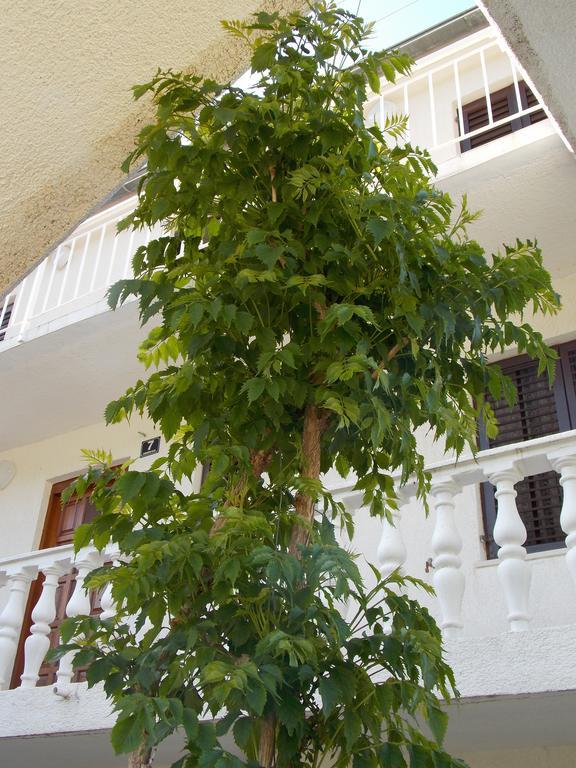 Apartment Pecarevic - A Holiday With A Stunning View Vis Zewnętrze zdjęcie